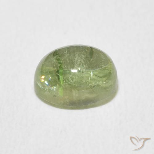 Turmalina Verde grisáceo natural de 1.64 ct, Ovalada, Transparente