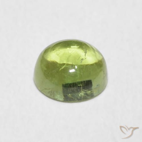 Turmalina Verde terroso cálido natural de 0.79 ct, Redondo, Transparente