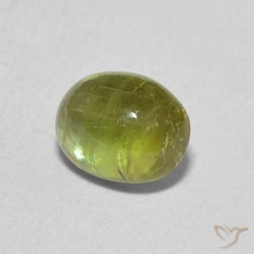 Turmalina Verde bosque claro natural de 1.39 ct, Ovalada, Transparente