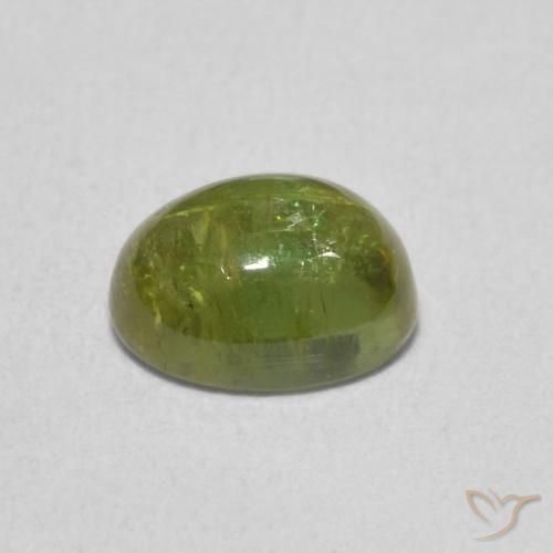Turmalina Verde bosque claro natural de 1.39 ct, Ovalada, Transparente
