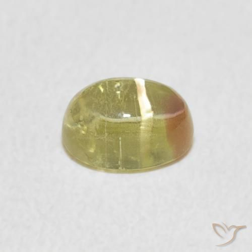 Turmalina Bicolor natural de 0.96 ct, Ovalada, Transparente