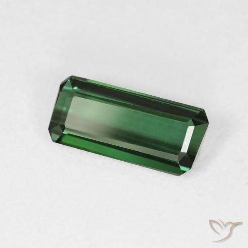 Turmalina Verde bosque natural de 1.56 ct, Corte Octágono / Esmeralda, VVS-VS