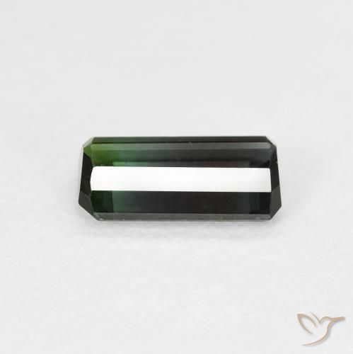 Turmalina Verde bosque natural de 0.89 ct, Corte Octágono / Esmeralda, VS