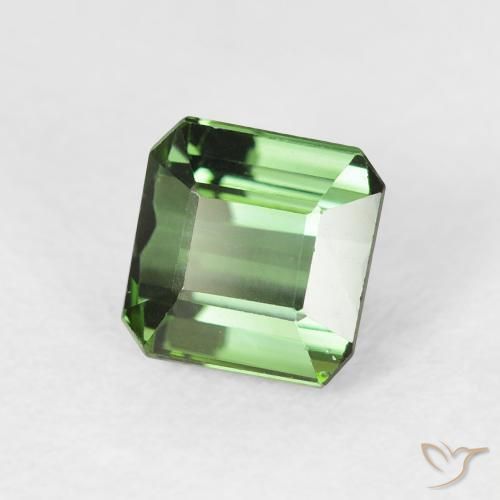 Turmalina Verde bosque natural de 1.42 ct, Corte Octágono / Esmeralda, VVS