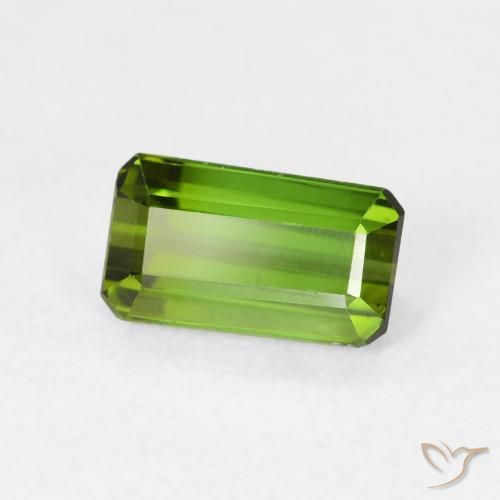Turmalina Verde bosque natural de 1.03 ct, Corte Octágono / Esmeralda, VVS-VS