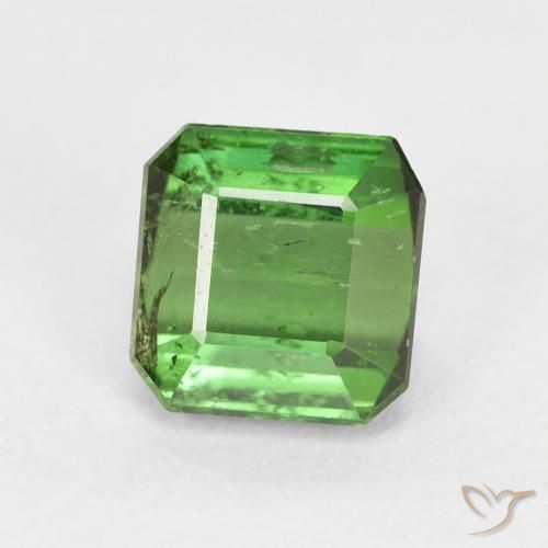 Turmalina Verde bosque natural de 1.71 ct, Corte Octágono / Esmeralda, VS-SI