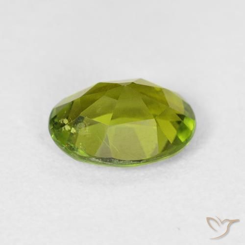Turmalina Verde bosque cálido natural de 1.49 ct, Ovalada, VS