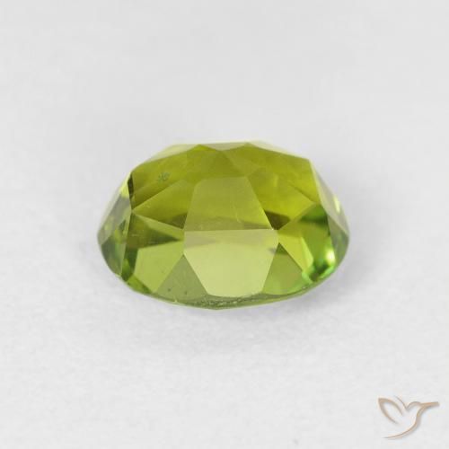 Turmalina Verde vivo natural de 1.64 ct, Ovalada, VS
