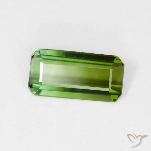 Turmalina Verde bosque natural de 0.99 ct, Corte Octágono / Esmeralda, VVS-VS