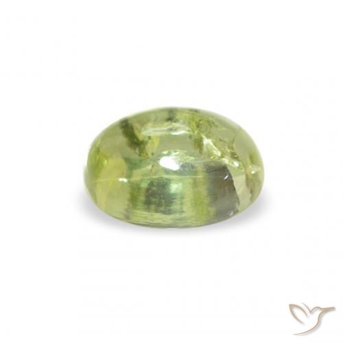 Turmalina Verde cálido natural de 0.77 ct, Ovalada, Transparente