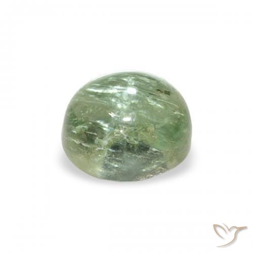 Turmalina Verde bosque claro natural de 0.81 ct, Ovalada, Transparente