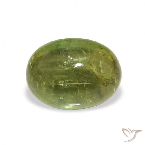 1.89ct Natural Verde bosque Turmalina, Ovalada, Transparente