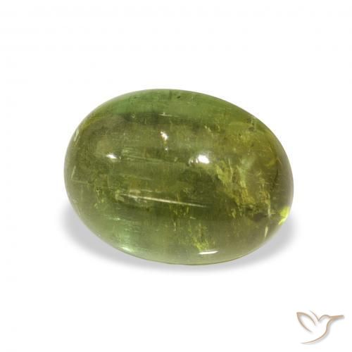 Turmalina Verde bosque natural de 1.89 ct, Ovalada, Transparente
