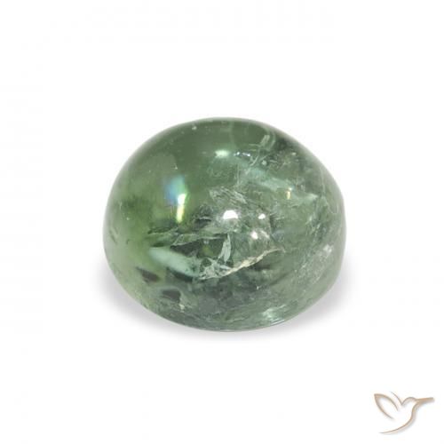 Turmalina Verde bosque pálido natural de 1.01 ct, Redondo, Transparente