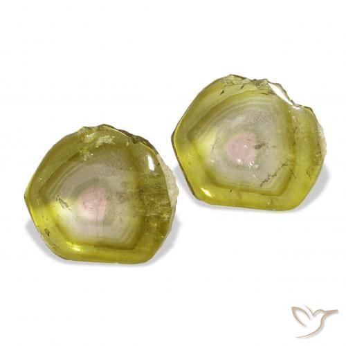 Gemas de Turmalina Sandía natural de 7.05 ct, Elegante, Transparente