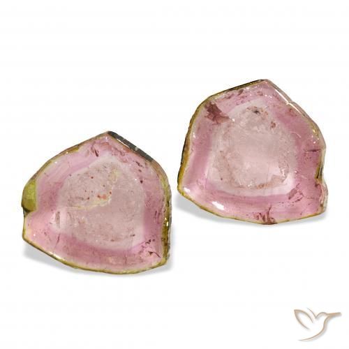 Gemas de Turmalina Bicolor natural de 6.07 ct, Elegante, Transparente