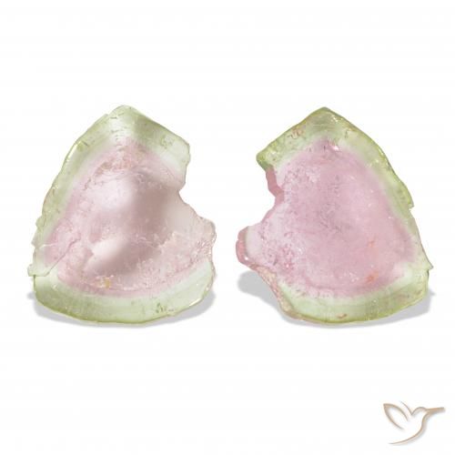 Gemas de Turmalina Bicolor natural de 13.27 ct, Elegante, Transparente