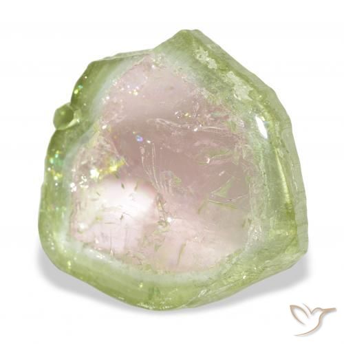 Turmalina Bicolor natural de 13.82 ct, Elegante, Transparente