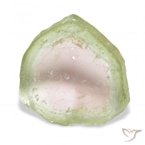 Turmalina Bicolor natural de 8.09 ct, Elegante, Transparente