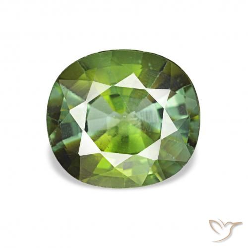 1.44ct Verde medio Turmalina Piedras Preciosas, Forma Cojín, VS