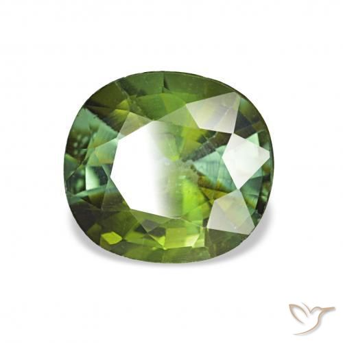 Turmalina Verde medio natural de 1.44 ct, Forma Cojín, VS
