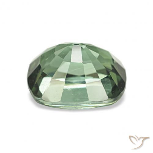 Turmalina Verde oscuro natural de 2.02 ct, Forma Cojín, VVS-VS