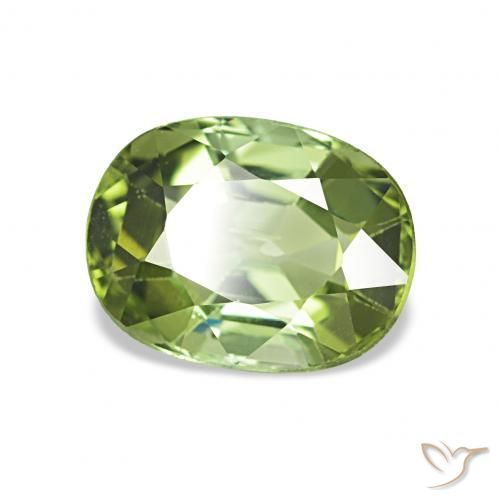Turmalina Verde bosque natural de 1.65 ct, Forma Cojín, VS