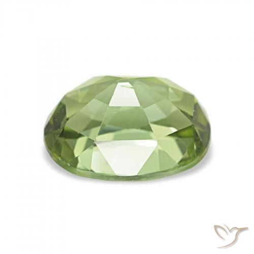 Turmalina Verde bosque natural de 1.65 ct, Forma Cojín, VS