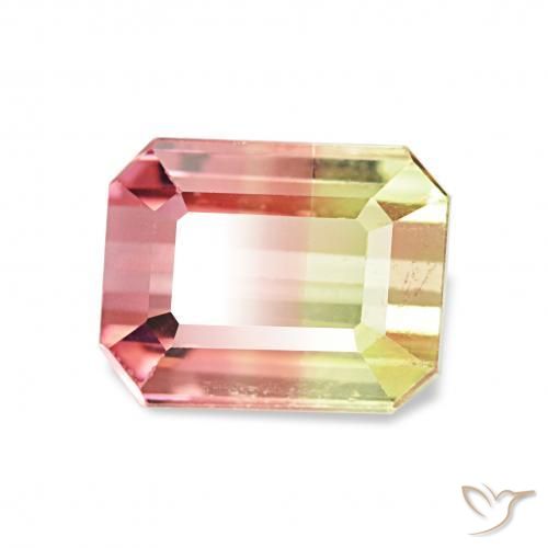 Turmalina Sandía natural de 1.72 ct, Corte Octágono / Esmeralda, VS