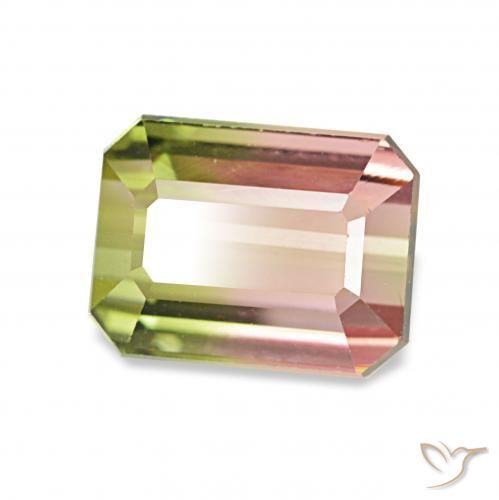 Turmalina Sandía natural de 1.55 ct, Corte Octágono / Esmeralda, VVS-VS