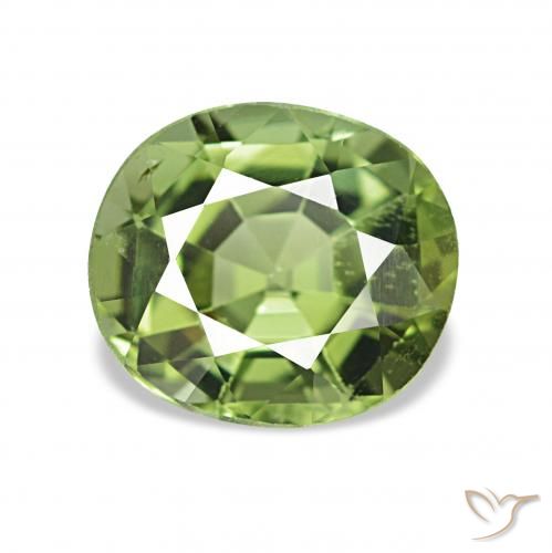 1.31ct Verde cálido Turmalina Piedras Preciosas, Ovalada, VVS-VS