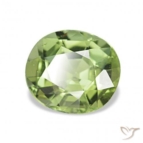 Turmalina Verde cálido natural de 1.31 ct, Ovalada, VVS-VS