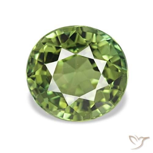 Turmalina Verde bosque natural de 1.54 ct, Redondo, VVS-VS