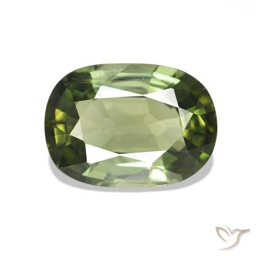 Turmalina Verde bosque natural de 1.55 ct, Forma Cojín, VS