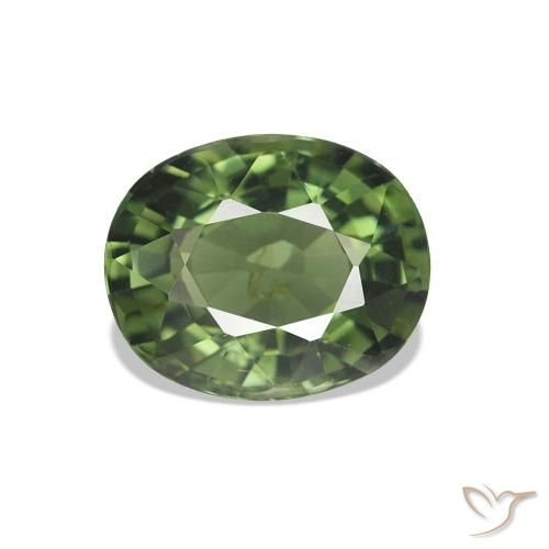 Turmalina Verde oscuro natural de 1.55 ct, Ovalada, VS