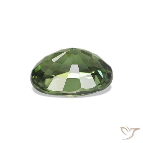 Turmalina Verde oscuro natural de 1.55 ct, Ovalada, VS