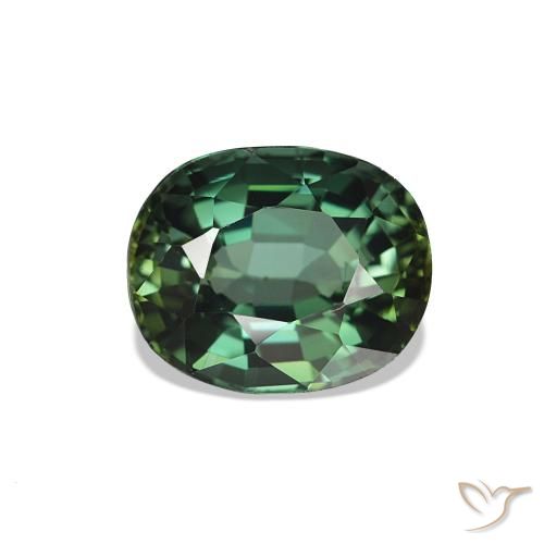 Turmalina Verde bosque natural de 1.41 ct, Ovalada, VVS-VS