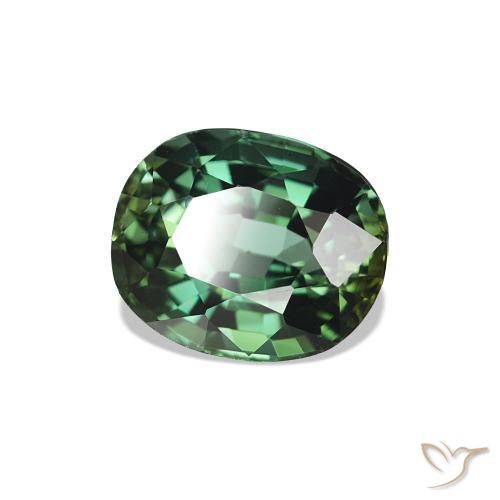 Turmalina Verde bosque natural de 1.41 ct, Ovalada, VVS-VS