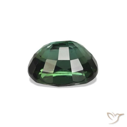 Turmalina Verde bosque natural de 1.41 ct, Ovalada, VVS-VS