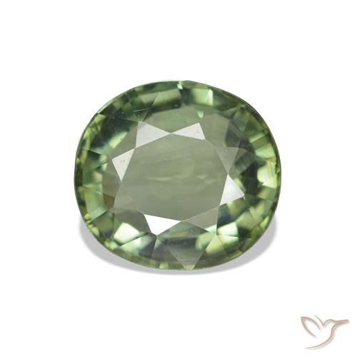 1.57ct Verde bosque claro Turmalina, Ovalada, VVS