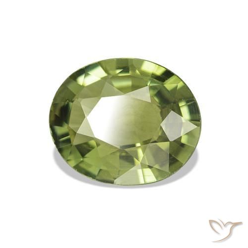 Turmalina Verde cálido natural de 1.51 ct, Ovalada, VVS-VS