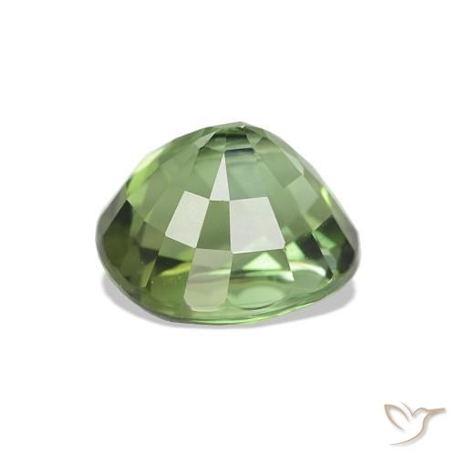 Turmalina Verde oscuro natural de 1.66 ct, Ovalada, VS