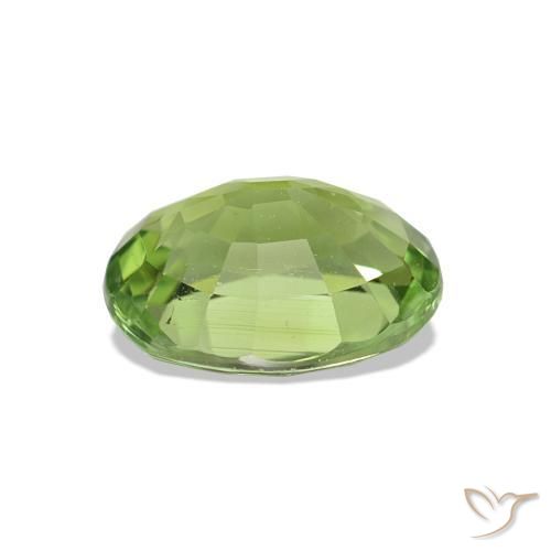 Turmalina Verde medio natural de 1.47 ct, Corte Óvalo, VS