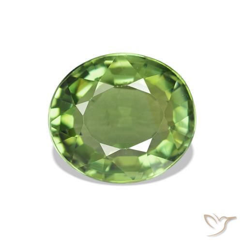 1.42ct Verde medio Turmalina, Ovalada, VVS