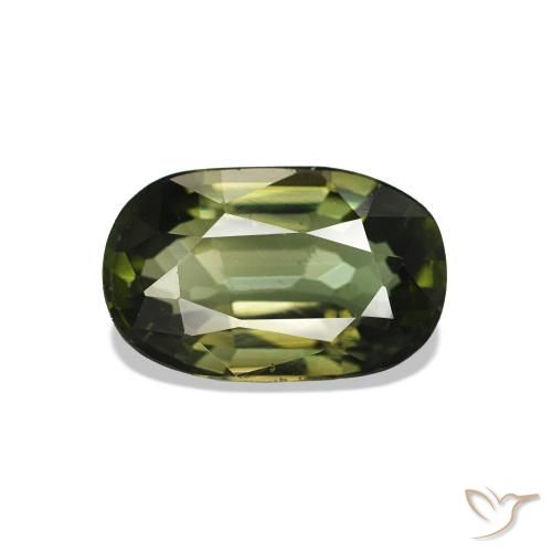 Turmalina Verde bosque claro natural de 1.46 ct, Ovalada, VS