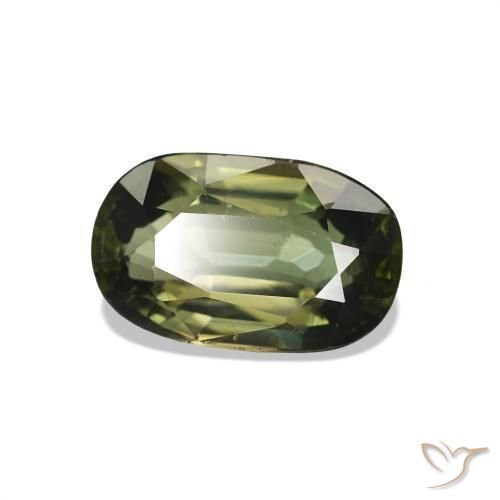 Turmalina Verde bosque claro natural de 1.46 ct, Ovalada, VS