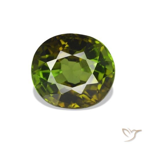 1.66ct Verde oscuro Turmalina, Ovalada, VS