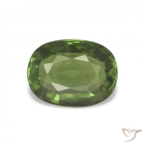Turmalina Verde bosque natural de 1.44 ct, Corte Cojín, VVS-VS