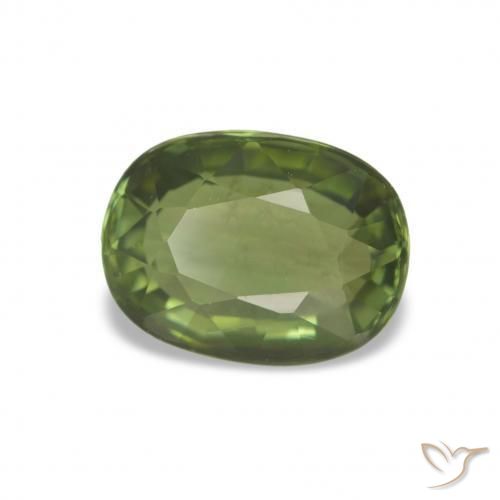 Turmalina Verde bosque natural de 1.44 ct, Corte Cojín, VVS-VS