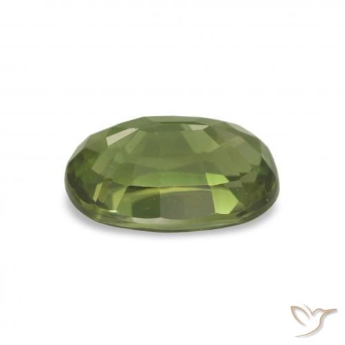 Turmalina Verde bosque natural de 1.44 ct, Corte Cojín, VVS-VS
